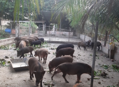 album 01 (1) (1) (1) (1) (1)