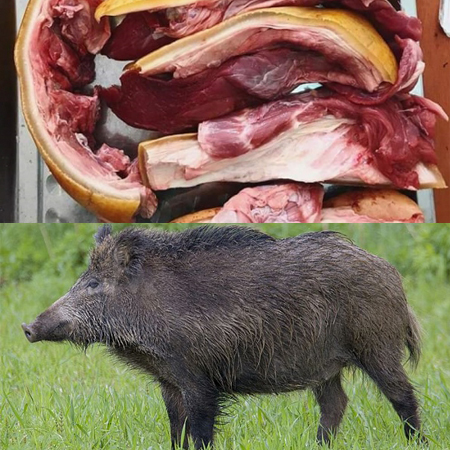 thit heo rung mien tay